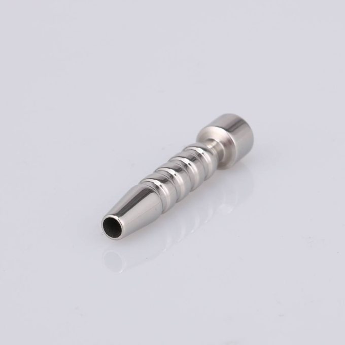 Penisplug Buldir