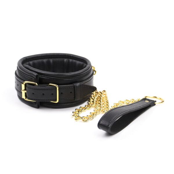 987101296 Halsband en riem Collar leash Gold 8719831782963 1 987101296 Halsband en riem Collar leash Gold 8719831782963 1