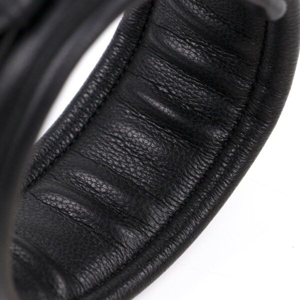 987101296 Halsband en riem Collar leash Gold 8719831782963 3 987101296 Halsband en riem Collar leash Gold 8719831782963 3