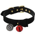 Banoch Collar Catbell Black Halsband Strik Zwart 98710 297 1 scaled scaled