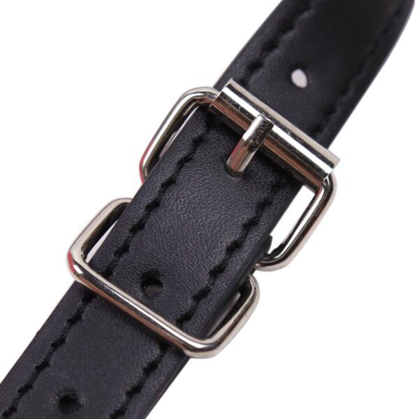 Banoch Gag kissy lips Roze bondage 987101399 4