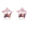 Pinch Boudoir Star Sparkling Tepelversiering Roze Ster 987101576 Pinch Boudoir Star Sparkling Tepelversiering Roze Ster 987101576