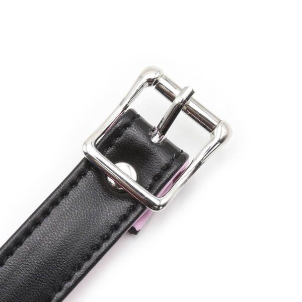 Banoch Ballgag Pink Luxe Siliconen Roze 987101639 7