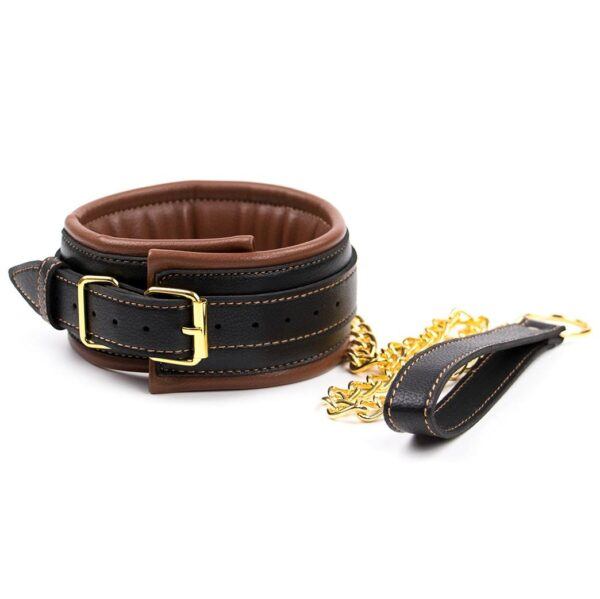 Banoch Collar leash Gold Halsband en Riem bruin met goud 987101702 2 Banoch Collar leash Gold Halsband en Riem bruin met goud 987101702 2