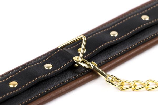Banoch Collar leash Gold Halsband en Riem bruin met goud 987101702 4 Banoch Collar leash Gold Halsband en Riem bruin met goud 987101702 4