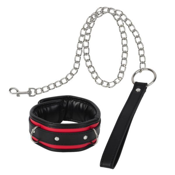 Banoch Collar leash Silver Halsband en Riem Zwart Rood met zilver 98710701 1 scaled scaled Banoch Collar leash Silver Halsband en Riem Zwart Rood met zilver 98710701 1 scaled scaled