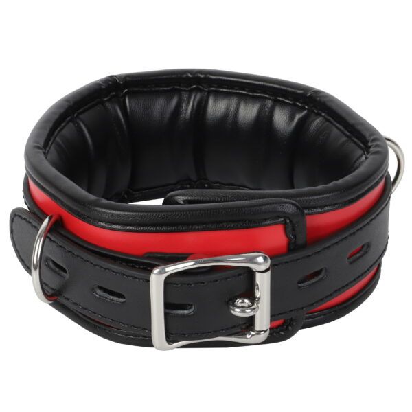 Banoch Collar leash Silver Halsband en Riem Zwart Rood met zilver 98710701 2 scaled scaled Banoch Collar leash Silver Halsband en Riem Zwart Rood met zilver 98710701 2 scaled scaled