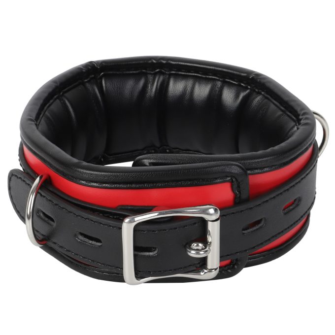 Banoch Collar leash Silver Halsband en Riem Zwart Rood met zilver 98710701 2 scaled scaled