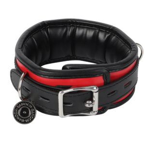 Banoch Collar leash Silver Halsband en Riem Zwart Rood met zilver 98710701 3 scaled scaled