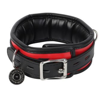 Banoch Collar leash Silver Halsband en Riem Zwart Rood met zilver 98710701 3 scaled scaled
