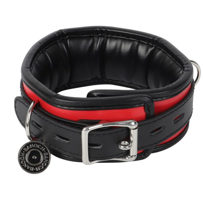 Banoch Collar leash Silver Halsband en Riem Zwart Rood met zilver 98710701 3 scaled scaled