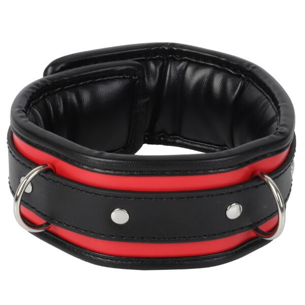 Banoch Collar leash Silver Halsband en Riem Zwart Rood met zilver 98710701 4 scaled scaled Banoch Collar leash Silver Halsband en Riem Zwart Rood met zilver 98710701 4 scaled scaled