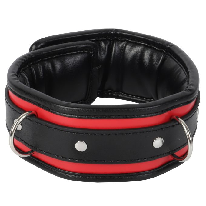 Banoch Collar leash Silver Halsband en Riem Zwart Rood met zilver 98710701 4 scaled scaled
