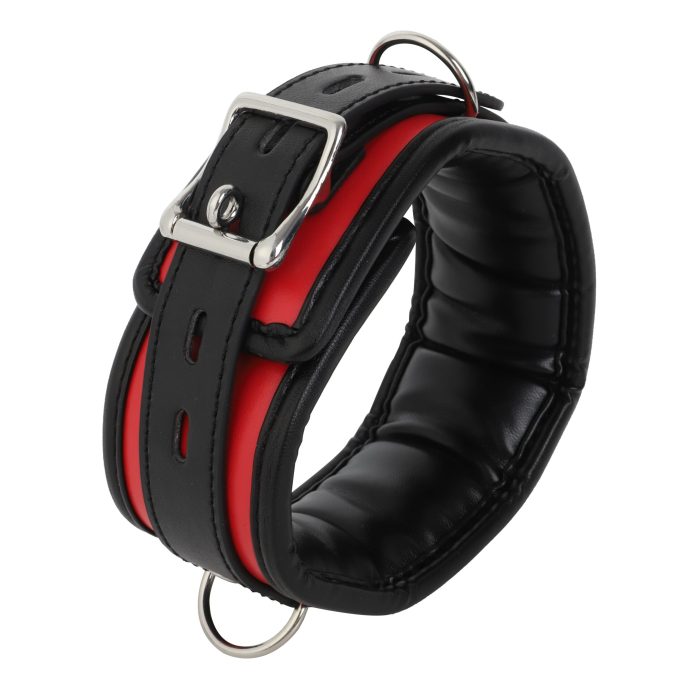 Banoch Collar leash Silver Halsband en Riem Zwart Rood met zilver 98710701 5 scaled scaled