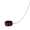 Banoch Collar leash Silver Halsband en Riem Zwart Rood met zilver 98710701 7 scaled scaled Banoch Collar leash Silver Halsband en Riem Zwart Rood met zilver 98710701 7 scaled scaled