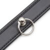 Banoch Collar of O black Zwart Pu Leer halsband bdsm 987101635 4 Banoch Collar of O black Zwart Pu Leer halsband bdsm 987101635 4