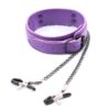Banoch Collar Clamps Playfull Purple paarse halsband met tepelklemmen 987101685