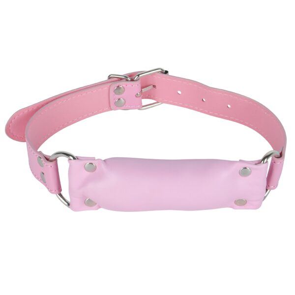 Banoch Bit gag soft straight pink bitgag van imitatieleer roze (1) Banoch Bit gag soft straight pink bitgag van imitatieleer roze (1)