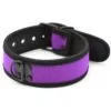Banoch Lindo Collar Morado Neoprene halsband paars neopreen puppy play 987101841 3