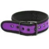 Banoch Lindo Collar Morado Neoprene halsband paars neopreen puppy play 987101841 4