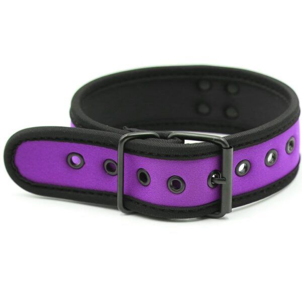 Banoch Lindo Collar Morado Neoprene halsband paars neopreen puppy play 987101841 4 Banoch Lindo Collar Morado Neoprene halsband paars neopreen puppy play 987101841 4