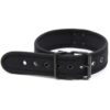 Banoch Lindo Collar Negro mesh Neoprene halsband zwart mesh neopreen puppy play 98710871 4