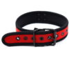 Banoch Lindo Collar Rojo Neoprene halsband rood neopreen puppy play 987101840 4
