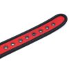 Banoch Lindo Collar Rojo Neoprene halsband rood neopreen puppy play 987101840 7