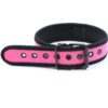 Banoch Lindo Collar Rosa Neoprene halsband roze neopreen puppy play 98710843 4 Banoch Lindo Collar Rosa Neoprene halsband roze neopreen puppy play 98710843 4