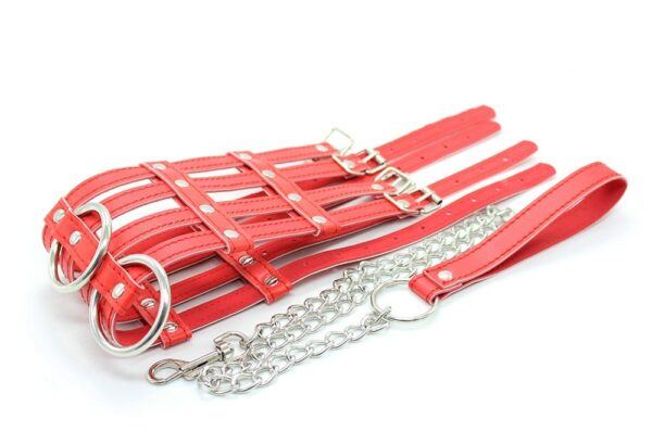 Banoch Collar Leash Flamboyante Red rode pu leren halsband met riem 987101785 5