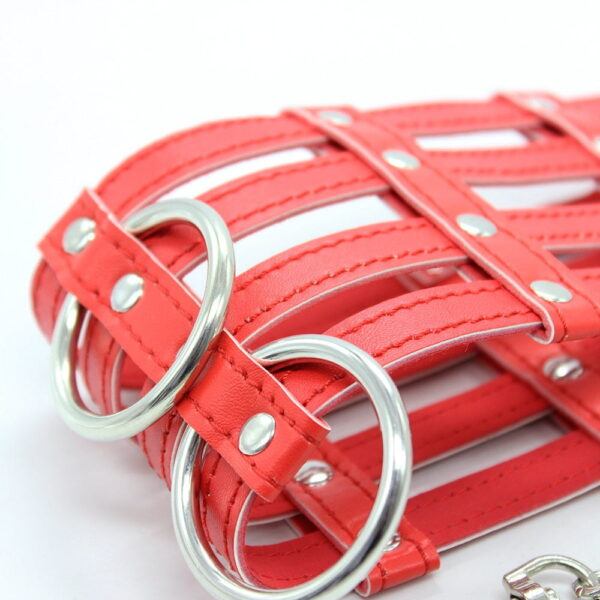 Banoch Collar Leash Flamboyante Red rode pu leren halsband met riem 987101785 6