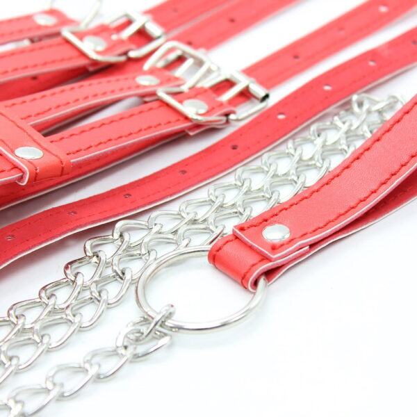 Banoch Collar Leash Flamboyante Red rode pu leren halsband met riem 987101785 7