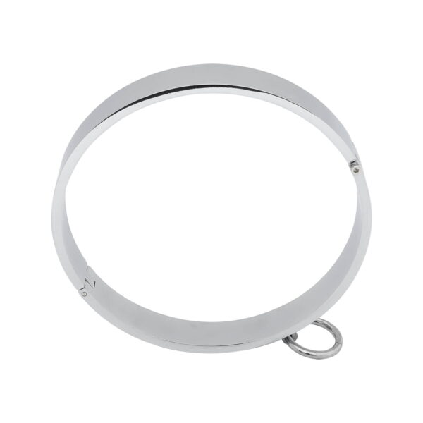 Banoch Collar metal high halsband metaal 987102032 4