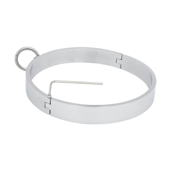 Banoch Collar metal high halsband metaal 987102032 5