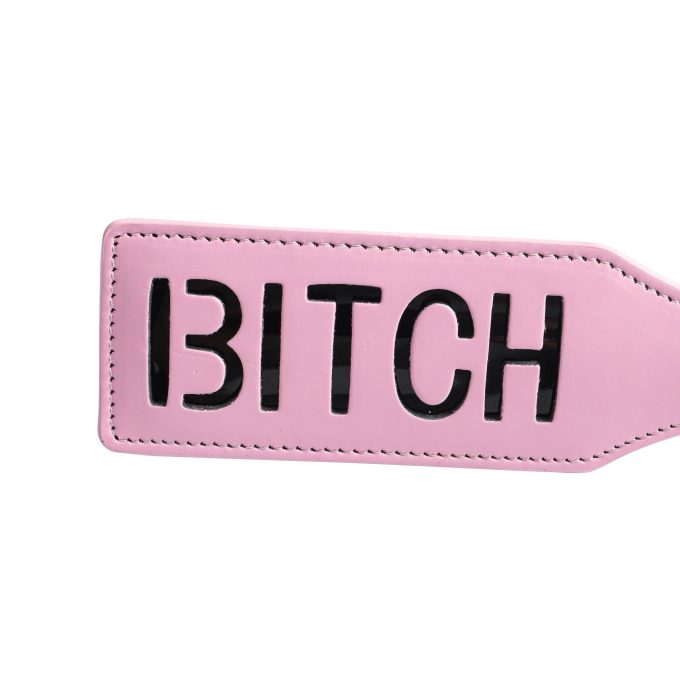 Banoch Paddle Pink Bitch 987102202 4 scaled scaled