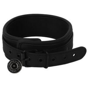 Banoch Collar leash Black Halsband en Riem zwart imitatieleer bondage 987101767 1 scaled scaled
