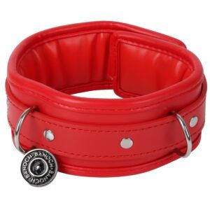 Banoch Collar leash Red Halsband en Riem Rood met zilver bdsm 987101700 1 scaled scaled