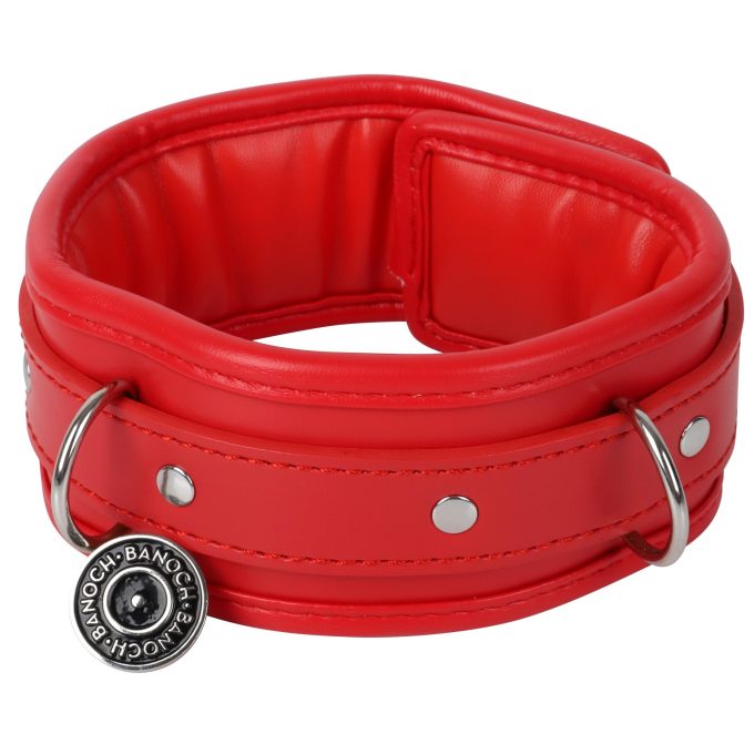 Banoch Collar leash Red Halsband en Riem Rood met zilver bdsm 987101700 1 scaled scaled