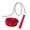 Banoch Collar leash Red Halsband en Riem Rood met zilver bdsm 987101700 13 scaled scaled