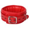 Banoch Collar leash Red Halsband en Riem Rood met zilver bdsm 987101700 2 scaled scaled