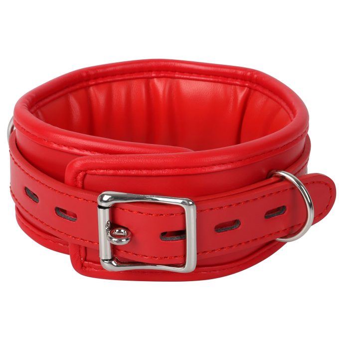 Banoch Collar leash Red Halsband en Riem Rood met zilver bdsm 987101700 2 scaled scaled