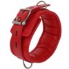 Banoch Collar leash Red Halsband en Riem Rood met zilver bdsm 987101700 3 scaled scaled Banoch Collar leash Red Halsband en Riem Rood met zilver bdsm 987101700 3 scaled scaled