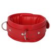 Banoch Collar leash Red Halsband en Riem Rood met zilver bdsm 987101700 6 scaled scaled