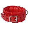 Banoch Collar leash Red Halsband en Riem Rood met zilver bdsm 987101700 7 scaled scaled