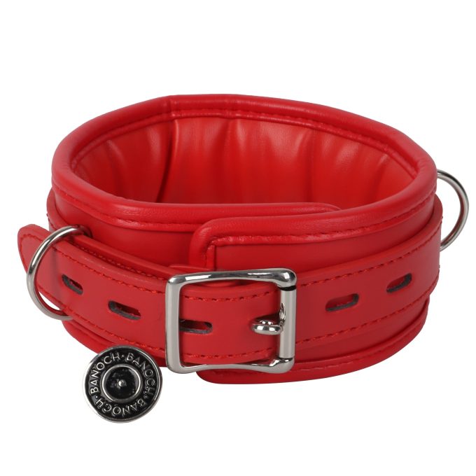 Banoch Collar leash Red Halsband en Riem Rood met zilver bdsm 987101700 8 scaled scaled