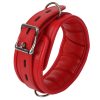 Banoch Collar leash Red Halsband en Riem Rood met zilver bdsm 987101700 9 scaled scaled