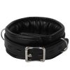 Banoch Collar leash Silver Halsband en Riem Zwart met zilver 987101699 10 scaled scaled