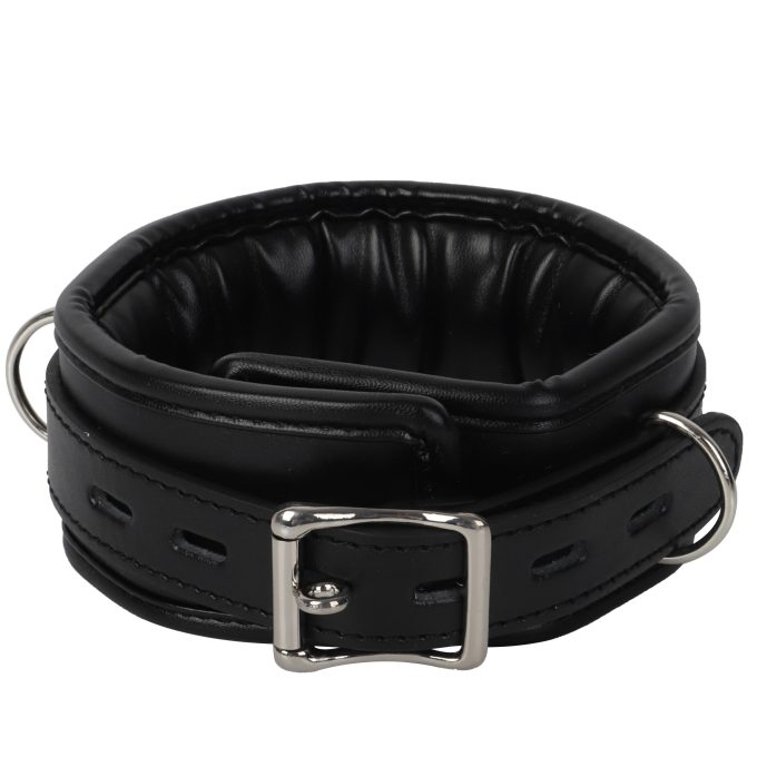 Banoch Collar leash Silver Halsband en Riem Zwart met zilver 987101699 10 scaled scaled
