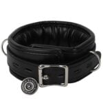 Banoch Collar leash Silver Halsband en Riem Zwart met zilver 987101699 11 scaled scaled