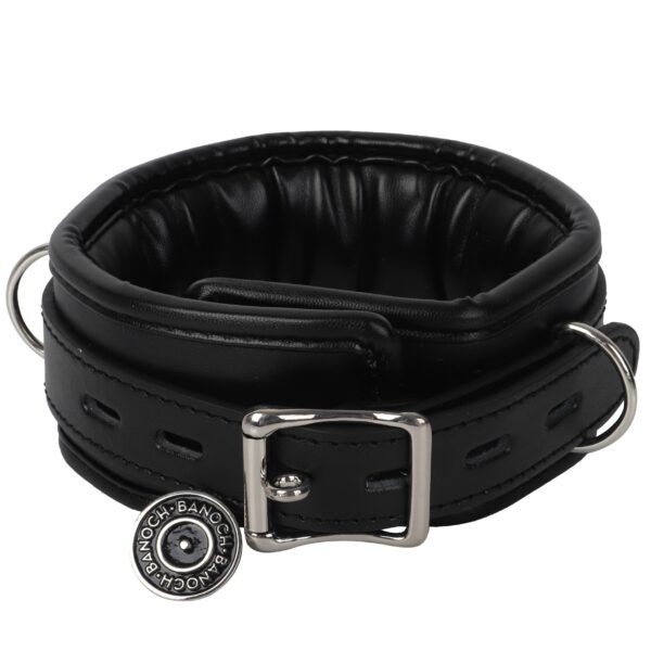 Banoch Collar leash Silver Halsband en Riem Zwart met zilver 987101699 11 scaled scaled Banoch Collar leash Silver Halsband en Riem Zwart met zilver 987101699 11 scaled scaled